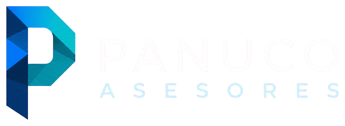 Panuco Auditores y Consultores